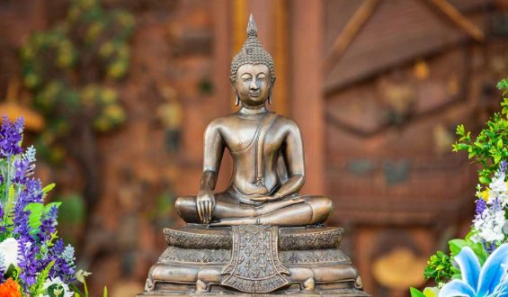 Lead life with endeavour: Buddha’s teaching